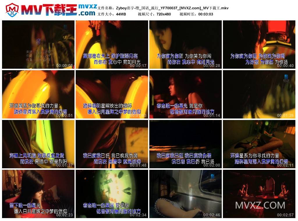 Zyboy忠宇-堕_国语_流行_YF700037